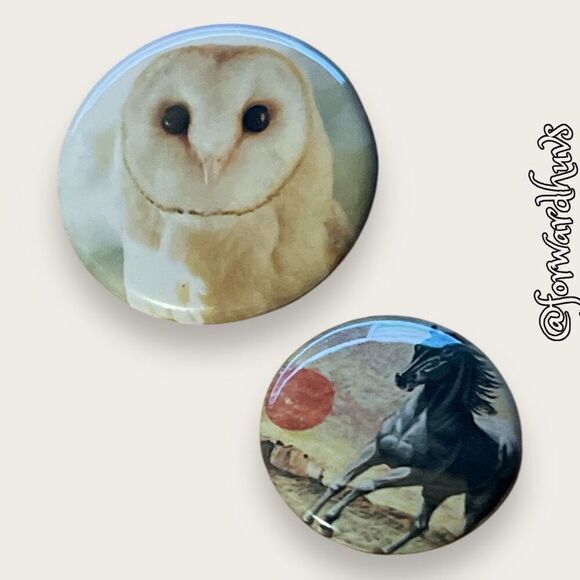 Bundle Sale 3 for $15 | Small Horse and Owl Pins - Picture 1 of 8